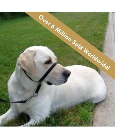 PABA Gentle Leader Ultimate Head Collar with Soft Touch Webbing Beige 28-59kg (Large) - Buy Online on GoSupps.com