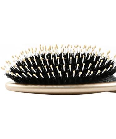 ENERRGECKO Natural Bristle Hair Brush - Anti-Static Styling Tool for Curls & Straight Hair - Perfect for Scalp Massage - International Shipping Available - Buy Online on GoSupps.com