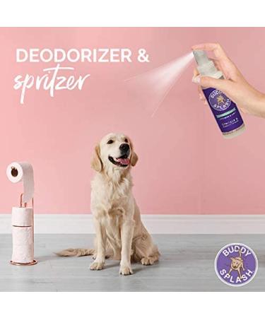Buddy Splash Dog Deodorizer & Conditioner - Lavender Mint 16 Fl Oz - Buy Online on GoSupps.com