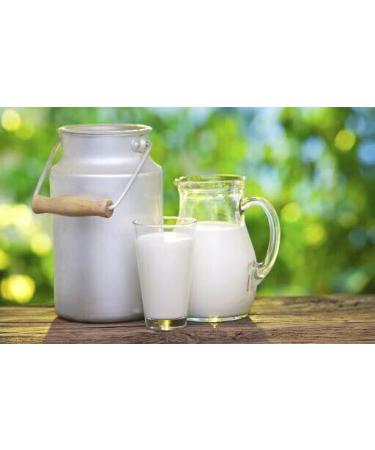 Kellogg's Special K & Vitamin D & Vitamin B6 &Cereal Contains 15% RI of Iron 2 x 750g - Buy Online on GoSupps.com