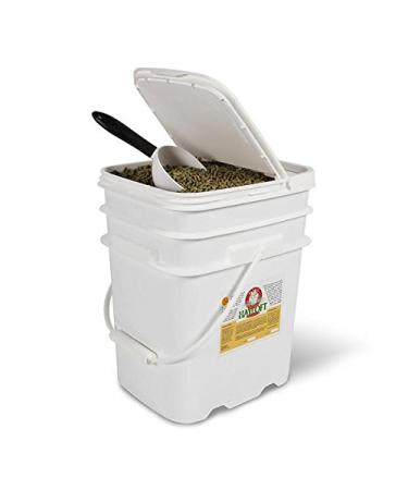 Kms Hayloft Alfalfa Complete Pellets for Guinea Pig and Rabbit Alfalfa Hay Pelleted Food (10 lb Bucket) 4.53 kg (Pack of 1)