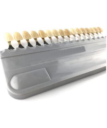 Porcelain Teeth Whitening Shade Guide 16 Colors Set - Tooth Bleaching Chart for Tracking and Comparing - Buy Online on GoSupps.com