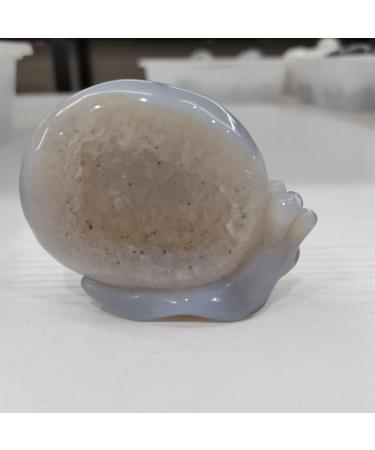 Room Decoration Home Decor Snail Natural Nao Amethyst Crystal Cluster Stone Specimen Home Crafts Decoration Gift Geode Gifts Natural Crystal Draw yuebang - Buy Online on GoSupps.com