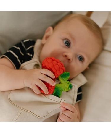 Bad Bijtspeltje Valery Framboos - Eco-Friendly Baby Spoon for Teething - International Shipping Available - Buy Online on GoSupps.com