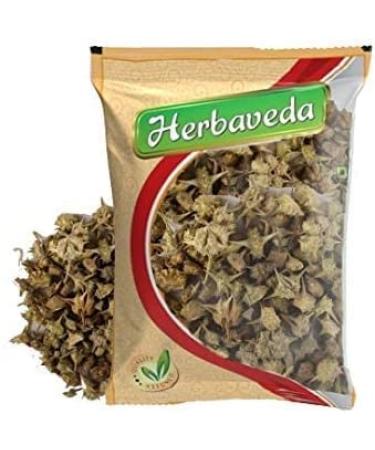 ORGANIZE Herbaveda Gokhru Bada 200g Gokhru Bada Gokshura Tribulus Terrestris Zaden Kleine Caltrops Sabut