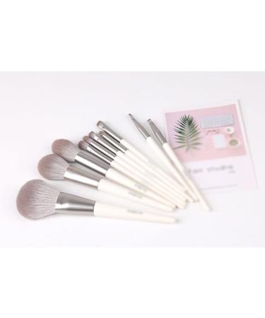 DFHBFG Makeup Brush Set - Professional Eye Shadow Blush & Lip Brushes for Flawless Application | Worldwide Shipping - Buy Online on GoSupps.com