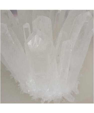 Natural Crystal Rough Home Decor Natural Raw Quartz White Clear Crystal Cluster Stones Crystal Point Specimen Home Decoration Raw Crystals Reiki (Size : 400-650g) - Buy Online on GoSupps.com
