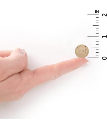 Digest Biological Enzymes Tropical Fruit Flavor Gluten-Free Dairy-Free 90 Chewable Products - Buy Online on GoSupps.com