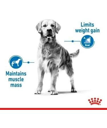 Royal Canin Maxi Light Weight Care Adult Dry Dog Food 12kg - Buy Online on GoSupps.com