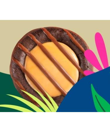 Girl Scouts Adventurefuls Cookies - 32 Cookies (2 Pack) - Buy Online on GoSupps.com