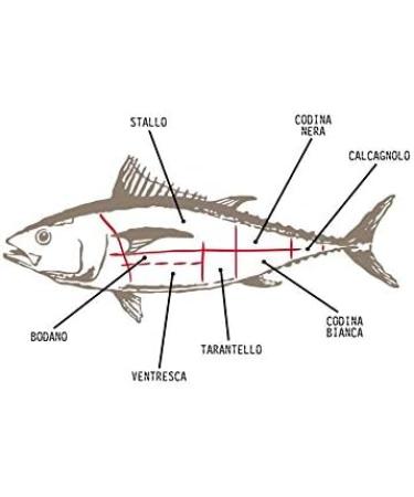 Yellowfin Tuna Tarantello in Olive Oil 340g IV Regia di Sardegna - Handmade in Sardinia Italy - Tarantello is the leanest meat of tuna - Buy Online on GoSupps.com