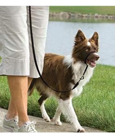 PetSafe Easy Walk Headcollar - Adjustable Comfortable Dog Leash for Reduced Pulling | Size L Black - Buy Online on GoSupps.com