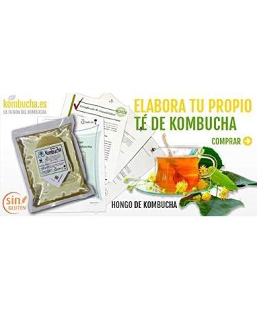 KIT COMPL TE KOMBUCHA FRAIS SCOBY KOMBUCHA - Avec Inscription Sanitaire (RGSEAA) - Pr parez Votre Propre Th Biologique Kombucha la Maison - Buy Online on GoSupps.com