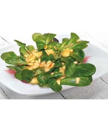 Fruchtwerker Fruit worker raspberry & vinegar with real fruit juice 3 x 250ml glass bottle - Buy Online on GoSupps.com