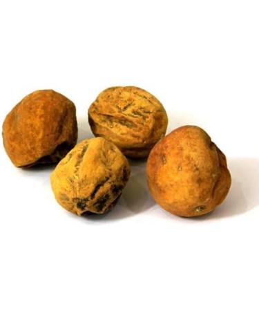 ZANTO Neeraj - Indrayan Phal Powder|Citrullus colocynthis |Bitter Apple Root |Makal -100 Gm - Buy Online on GoSupps.com