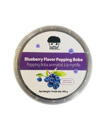 BOBA BOY Bursting Popping Boba | Mango Strawberry Lychee Watermelon Green Apple Passion Fruit | For Bubble Tea and Dessert Toppings | 500g x 2 TUBS (Blueberry)