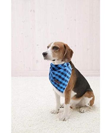 Unique Style Paws Dog Ceal - Washable Cotton Triangle for Small to Large Dogs & Cats - 1 Pack in Blue & Black - Buy Online on GoSupps.com