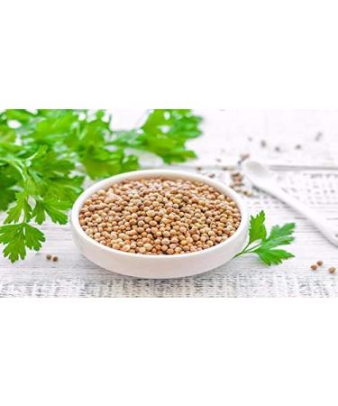 Naturevibe Botanicals Organic Coriander Seeds 1lb - Raw, Gluten-Free & Non-GMO - Adds Flavor - Pack of 1 - Buy Online on GoSupps.com