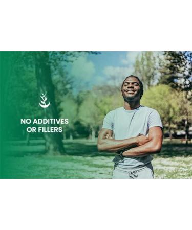 365 Capsules Benfotiamine Supplement - Pure Ingredients, Lab Verified, No Fillers - 365 Count - Buy Online on GoSupps.com