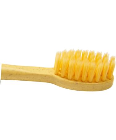 Buy Gatuida 3ST Kids Toothbrush Set - Fun LOL Surprise Design for Family Dental Care - Bright Colorful Brushes for Children - Buy Online on GoSupps.com