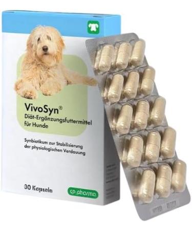 cp-pharma VivoSyn - Pack of 2 x 30 capsules - Food supplement for dogs - To stabilize physiological digestion - Highly concentrated synbiotic - Buy Online on GoSupps.com