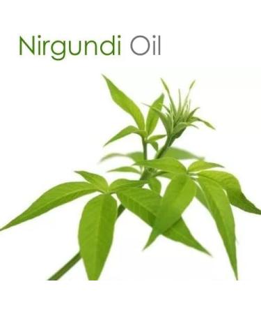 Nirgundi (Vitex Negundo) Oil | Pure & Natural Essential Oil for Aroma Diffusers Skincare & Hair Care - 1000ml/33.8 fl oz - Buy Online on GoSupps.com