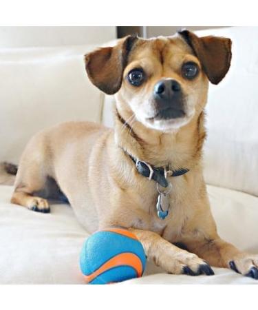 ChuckIt! Fetch Rubber Dog Ball Medley Strato Erratic Ultra Squeaker Balls for Dogs Durable High Bounce Launcher Compatible Dog Toy Gen 2 - 3 Pack Medium Multi Medium - Buy Online on GoSupps.com