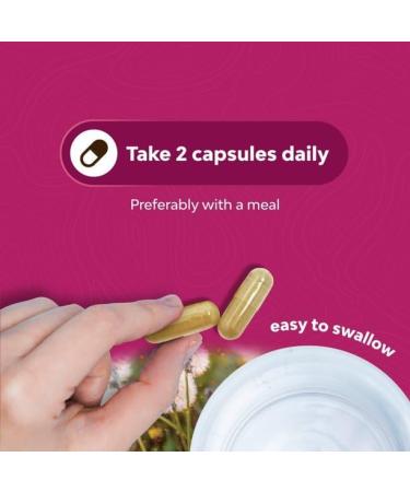 PMS Relief Vitamins for Women - Herbal Supplement for Stress Relief & Hormone Balance with Vite x, Chasteberry, Dong Quai & Black Cohosh - Buy Online on GoSupps.com