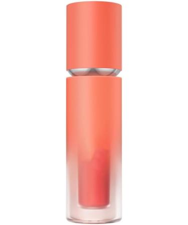 dijuidy 25g Matte Lipstick Waterproof Lip Gloss Cosmetic Lipstick Lips Makeup Beauty Supplies Women Girls Girlfriend Type 1 - Buy Online on GoSupps.com