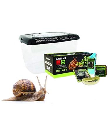 Komodo Basic Giant African Land Snail Kit (Land Snail Kit)