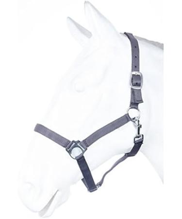 RL24 - Nylonhalter Basicline Gray Pony | Premium Quality International Shipping Available - Buy Online on GoSupps.com