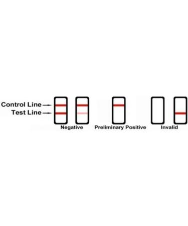 WaiveDx Xylazine Test Strips - Accurate XYL Testing Kit with 5 Strips for International Shipping - Buy Online on GoSupps.com