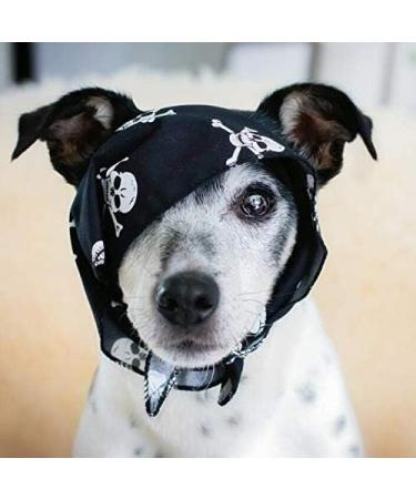 Pet Pooch Boutique Skulls Bandana for Dog Medium/Large Black - Buy Online on GoSupps.com