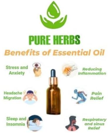 Pure Herbs Sea Buckthorn Oil 15ml - Natural Therapeutic Carrier Oil with Dropper | Organic Hippophae Rhamnoides for Skin & Hair Care - Buy Online on GoSupps.com