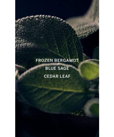 Victoria's Secret VS Him Deepwater Eau de Parfum 3.4oz - Men's Fragrance - Buy Online on GoSupps.com