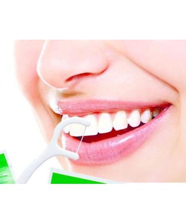 VNDEFUL 100 Pcs White Dental Floss Picks - Oral Care Toothpicks for Healthier Gums and Teeth - Buy Online on GoSupps.com