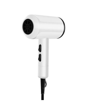ADITAM Hair Dryer - Professional Lightweight Damage Protection Hair Dryer Ceramic+Ionic+Nano - Motor Low Noise Fast Drying Blow Dryers with Concentrator Attachment for Double The Comfort
