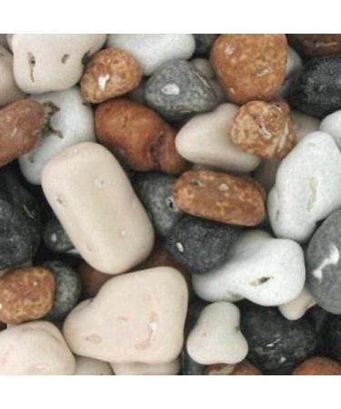 500g Pouch Of Chocolate Edible Stones - Rocks - Chocolate flavoured sweets with a hard candy shell in the shape of stones/pebbles