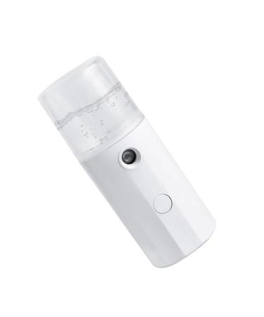 FRCOLOR 1pc Hydrating Instrument Nano Mist Sprayer Nano Facial Mister Cool Facial Mister Face Steamer Charge