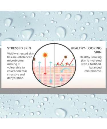 Consult Beaute Microbiome Face Serum Concentrate Pre & Probiotic Moisturizes and Balances Facial Skin Barrier 1 Fl Oz - Buy Online on GoSupps.com