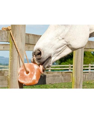 UMAID 6 lbs Himalayan Animal Lick Salt On Rope for Horses, Deer, Livestock - 2 Count - Buy Online on GoSupps.com