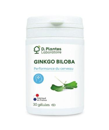 Ginkgo Biloba Concentrated Extract