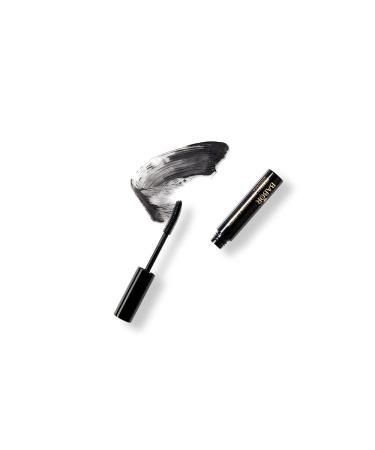 Babor Make-Up Perfect Definition & Length Mascara | Volume & Long-Lashes | Silicone Brush | 6 ml - Buy Online on GoSupps.com