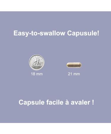 Arctica Food Sea cucumber & Glucosamine Complex Capsule Joint Health 600 mg 120 caps (1) - Buy Online on GoSupps.com