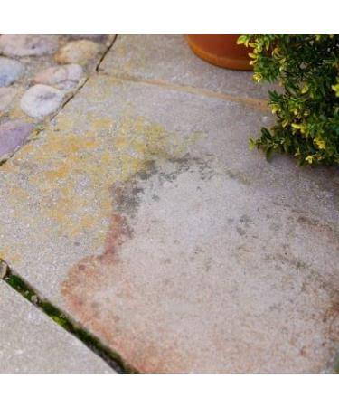 Lakeland Patio and Driveway Cleaner 1 Litre - Buy Online on GoSupps.com