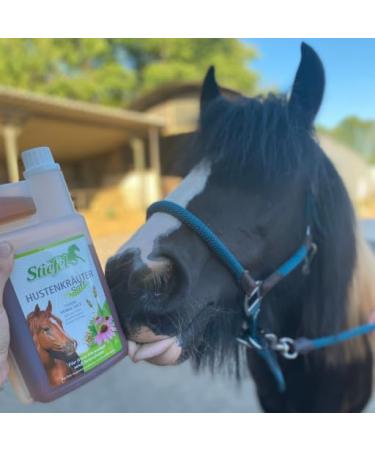 Boot Cough Herbal Juice Double Pack - 2 x 1L - Natural Supplement for Horses - Supports Respiratory Health - No Artificial Additives - Buy Online on GoSupps.com