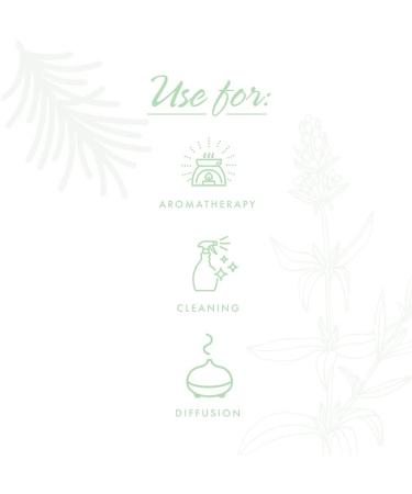 NOW Clear the Air Oil Blend 4oz - Purifying Aromatherapy Scent | Vegan, Child Resistant Cap - Buy Online on GoSupps.com