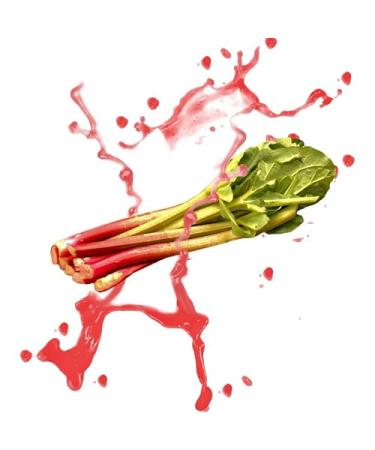 Rhubarb liquid aroma quantity 50 ml