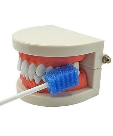 MUNKCARE Oral Care Swabs Disposable - Blue 100ct - Buy Online on GoSupps.com