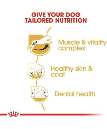 ROYAL CANIN/Jack Russel Terrier Adult 3 kg bag Dog food for Jack Russel dogs from 10 months - Buy Online on GoSupps.com